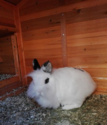 IMG_20180220_120703.jpg (63.3 KiB) Osservato 14059 volte IMG_20180220_120703.jpg