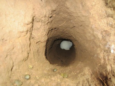 IMG_3489 (1) (1).jpg (69.92 KiB) Osservato 1456 volte IMG_3489 (1) (1).jpg