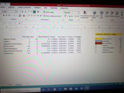 Classifica razza da carne / IMG_20200613_234522.jpg IMG_20200613_234522.jpg
