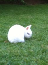 ermellina cariina :) / 177.JPG 177.JPG