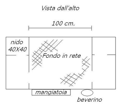 pianta gabbia.JPG (24.49 KiB) Osservato 1668 volte pianta gabbia.JPG