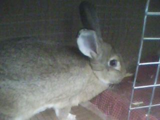 IMG0004A.jpg IMG0004A.jpg