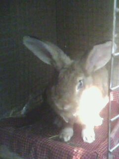 IMG0005A.jpg IMG0005A.jpg