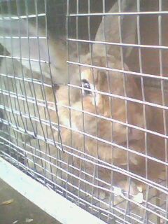 IMG0003A.jpg IMG0003A.jpg