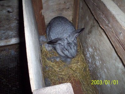 La casetta / 100_0445.JPG 100_0445.JPG