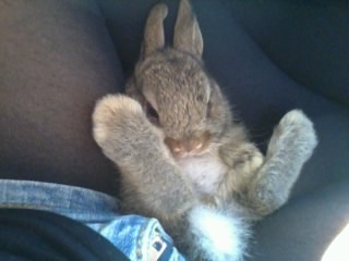 Foto0450.jpg Foto0450.jpg