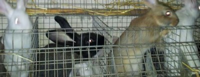 I multicolor. / 20140218_174553-1-1.jpg 20140218_174553-1-1.jpg