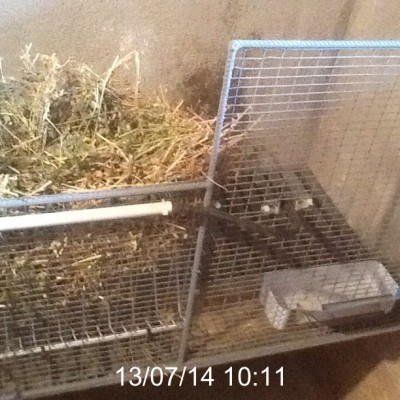 image.jpg (168.09 KiB) Osservato 973 volte image.jpg