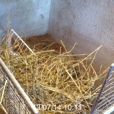 image.jpg (192.12 KiB) Osservato 973 volte image.jpg