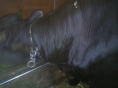 IMG_20160921_193024.jpg (74.27 KiB) Osservato 2703 volte IMG_20160921_193024.jpg