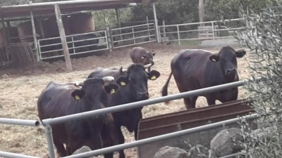 20220630_204404.jpg (81.8 KiB) Osservato 2835 volte 20220630_204404.jpg