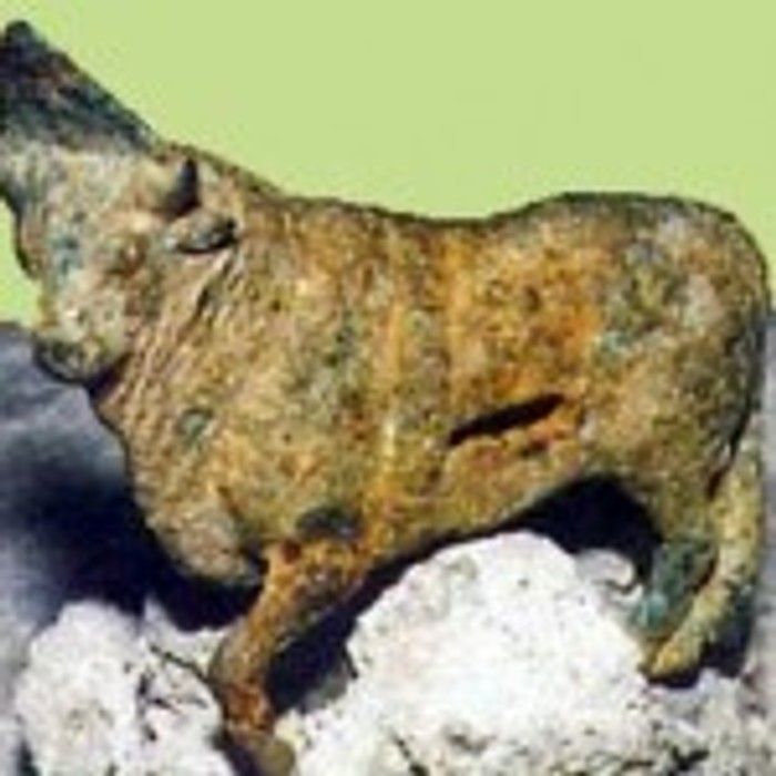 toro_big-150x150.jpg toro_big-150x150.jpg