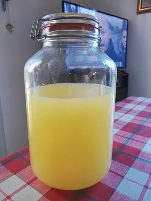 IMG_20171228_141008.jpg (63.65 KiB) Osservato 1776 volte IMG_20171228_141008.jpg