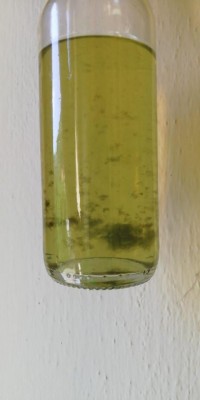 Bottiglia con flocculo presente / WhatsApp Image 2020-07-12 at 17.10.46.jpeg WhatsApp Image 2020-07-12 at 17.10.46.jpeg