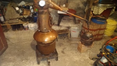 Prova finale... / DSC_0115.JPG DSC_0115.JPG