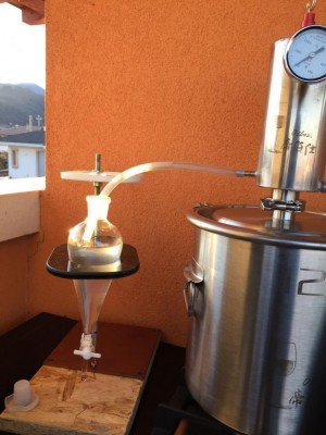 IMG_3611.JPG (92.94 KiB) Osservato 1440 volte IMG_3611.JPG