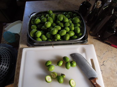 DSCN4459.JPG (143.3 KiB) Osservato 3489 volte DSCN4459.JPG