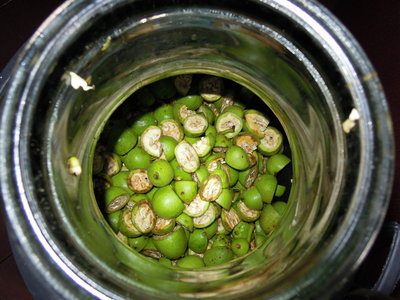 DSCN4464.JPG (153.77 KiB) Osservato 3489 volte DSCN4464.JPG