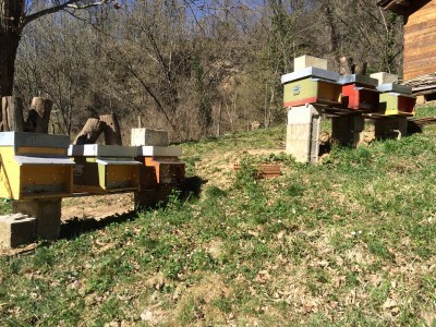 Copia di IMG_1263.JPG