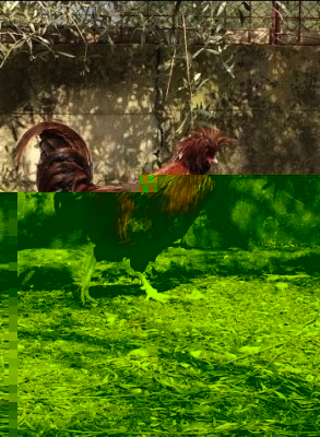 image.jpg