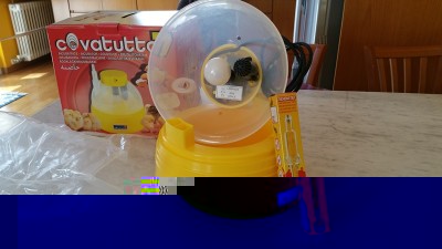 20150420_115852.jpg