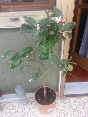 20150426_154511.jpg