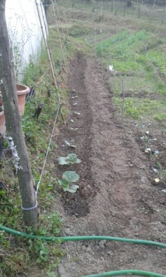 rps20150506_075549.jpg