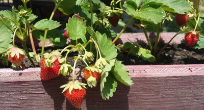 20150519_120408.jpg