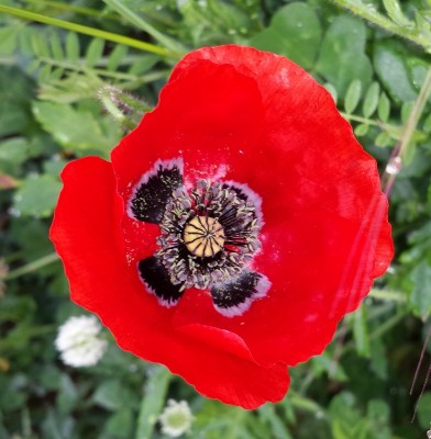 20150430_080619.jpg