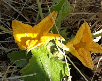 20150522_093752.jpg
