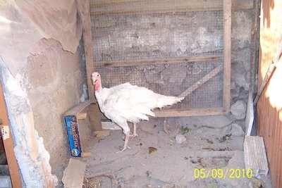100_5444.JPG
