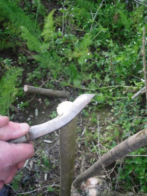 6376984_orig.jpg
