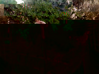 20150728_080346.jpg