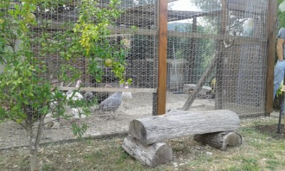 20150913_155557.jpg