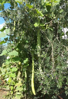 20151017_134950.jpg