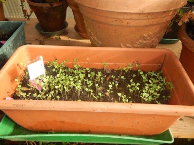 DSCN5582.JPG