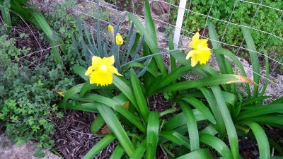 20160216_064435.jpg