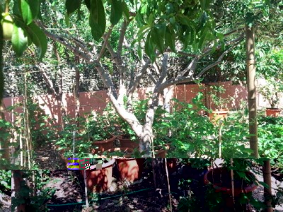 giardino ombreggiato 2.jpg