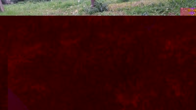 12910244_10207539656002898_83693941_n.jpg