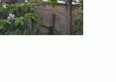 Immagine2.gif