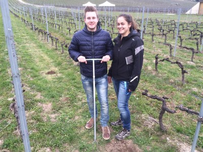 campionato_europeo_vino-6_imagefullwide.jpg