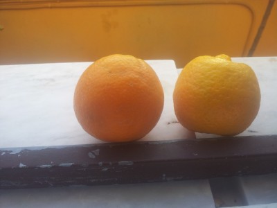 20160415_184939.jpg