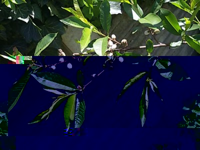 20160427_111718.jpg