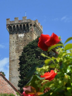 Vico in fiore Parri.jpg