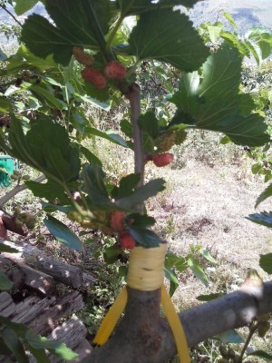 20160514_111734.jpg