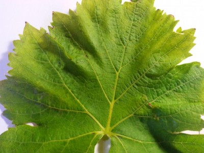 20160520_144037.jpg