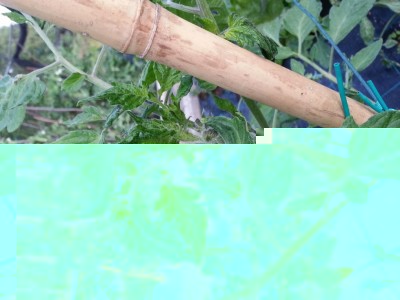 20160521_195039.jpg