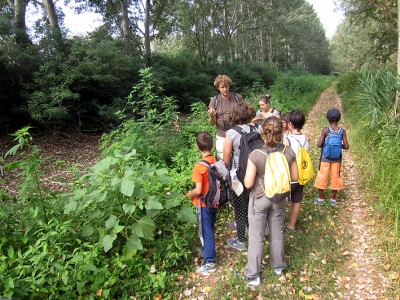 Campi natura 2016 04.jpg
