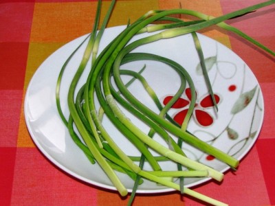 talli d'aglio.jpg