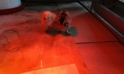 IMG-20160602-WA0002.jpg
